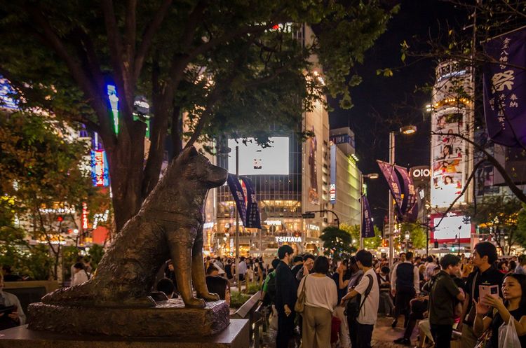 写真3ページ目 渋谷のハチ公はなぜ「日本一の待ち合わせ場所」になったのか？ 再開発で一時移転？文春オンライン