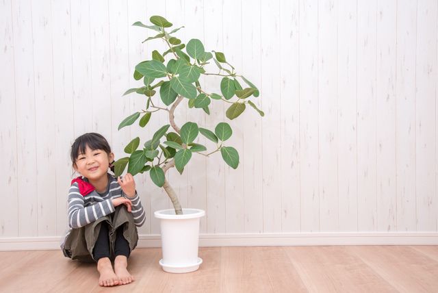 おうちが行楽地に。手軽にできるベランダの改造アイデアESSEonline エッセ オンライン