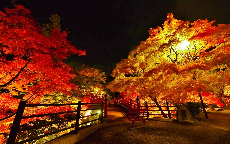 弥彦もみじ谷新潟県央地区情報ポータルサイト：県央なび新潟県央なび – 燕市・三条市・加茂市・弥彦村の店舗・施設案内
