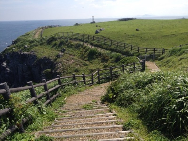 杉ノ原放牧場」青い海と緑の牧場！のどかな牧草地が広がる癒しスポット