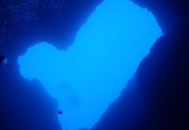 ブルーホールはどこにある？おすすめスポットの場所や深さについて詳しく解説！NEWT ニュート