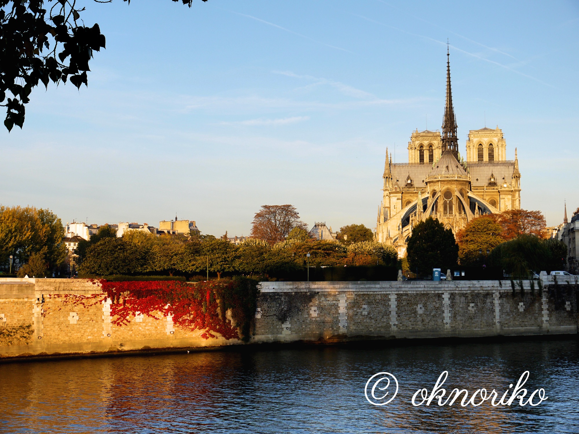 セーヌ川 セーヌ河岸 の魅力と歴史：世界遺産の理由とパリオリンピック開会式について
