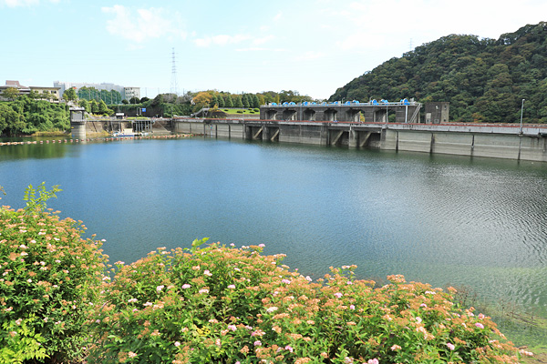 城山ダムに行ってきた