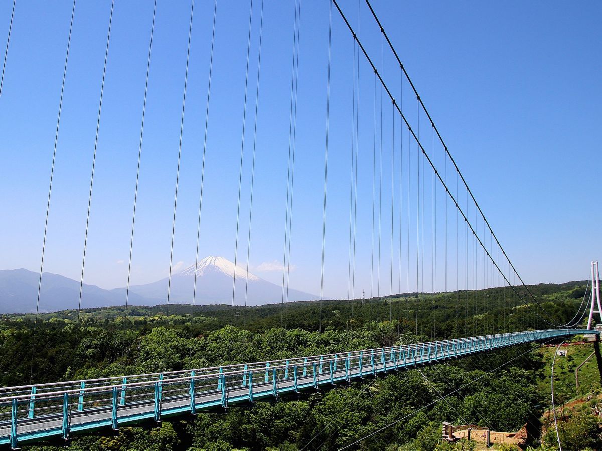 日本一長い吊り橋の魅力と体験2025 年のリアルなLemon8ユーザー体験