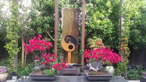 5,631点のコルテン・ウォンの写真と高解像度写真 - Getty Images