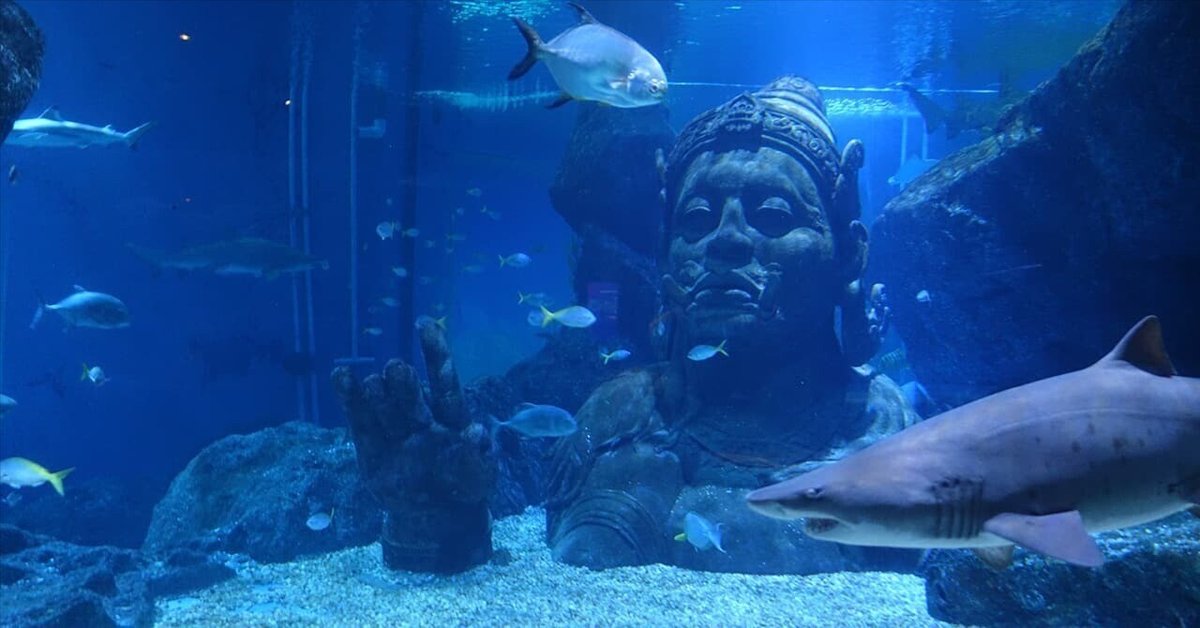 シーライフバンコクオーシャンワールドのチケットが安い！事前購入ならさらにお得 Trip.com