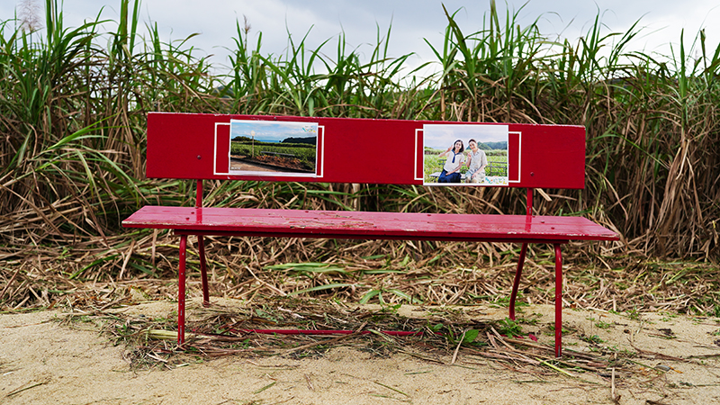 ちむどんどんロケ地巡り 15比嘉家の家現地宿泊済みダフパパの航海日誌