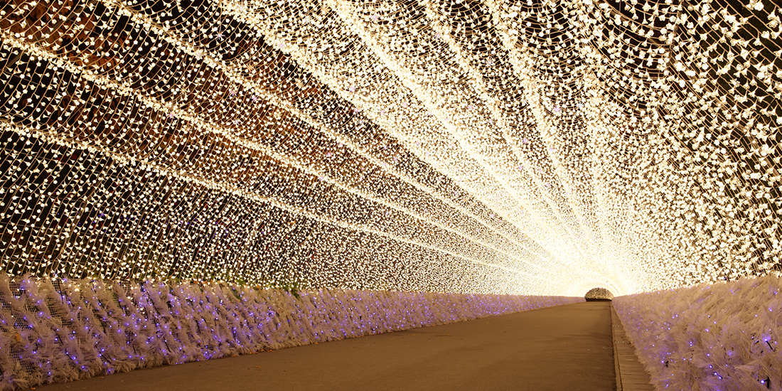 東海道関宿を散策。江戸の宿場町をたどる観光コースを紹介します取材レポート観光三重 かんこうみえ