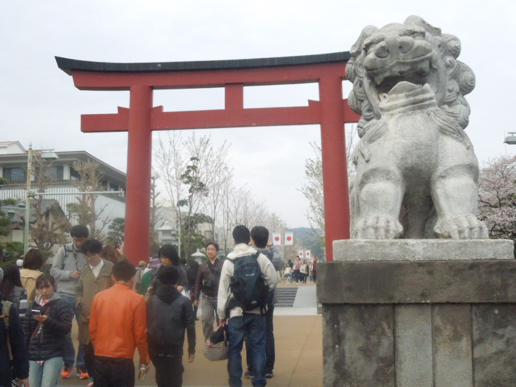 歴史ある参道・段葛で桜のアーチを堪能鎌倉観光ならバズトリ -BUZZ TRIP Kamakura-観光・グルメ・自然