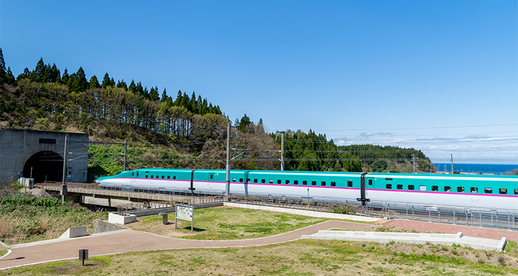 国内旅行の魅力：車なしで楽しむ2泊3日のプラン2025 年のリアルなLemon8ユーザー体験