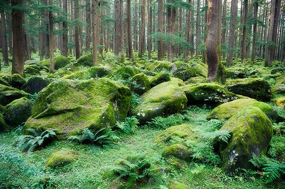 絶景の湖・パンゴンツォたびそら 写真家・三井昌志