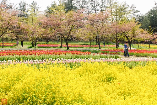いこいの村庄内周辺のホテルランキング - じゃらんnet
