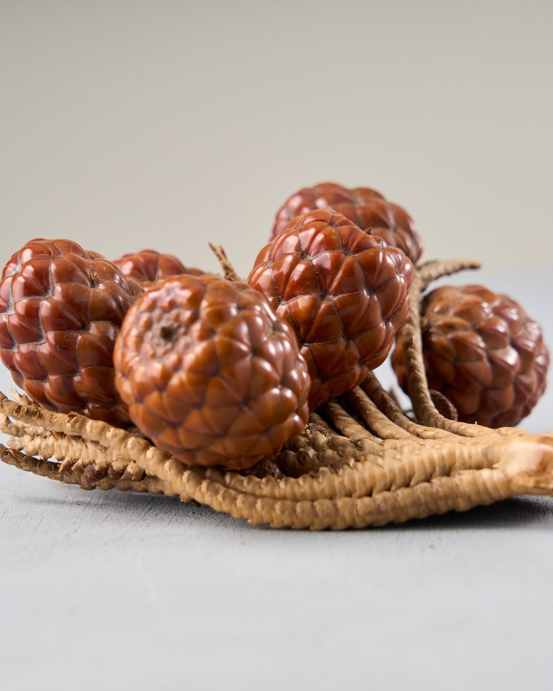 ヤシ記念館とヤエヤマヤシ群落@石垣島🍀GreenSnap グリーンスナップ