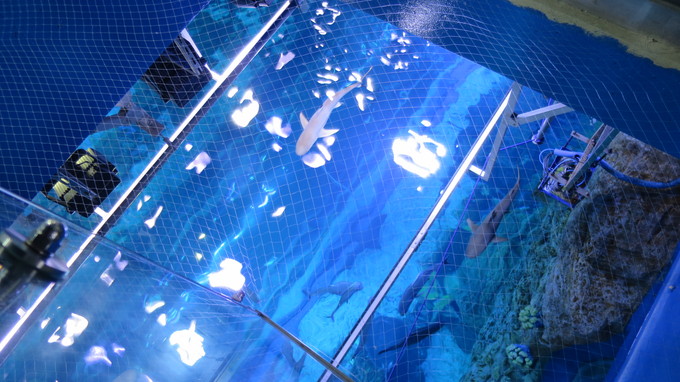 ドバイのショッピングモール – Dubai-Japan.Com