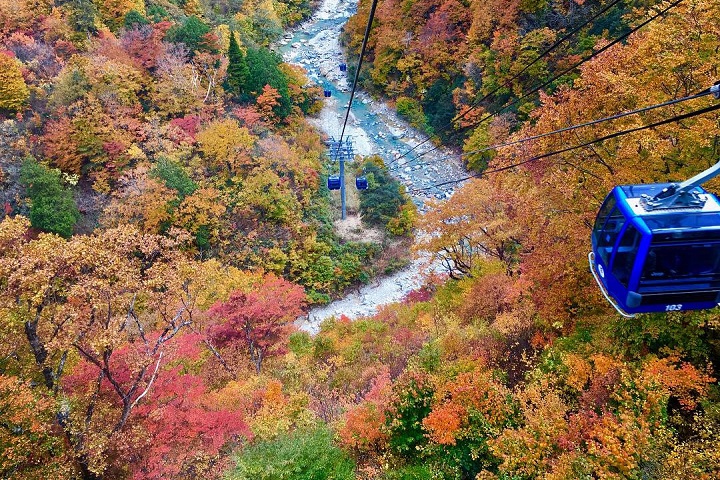 越後3大紅葉めぐり 苗場ドラゴンドラ＆田代ロープウェーと清津峡宿泊コース公式 バンビツアーで快適な旅。バスツアー・旅行なら遠州鉄道のバンビ ツア