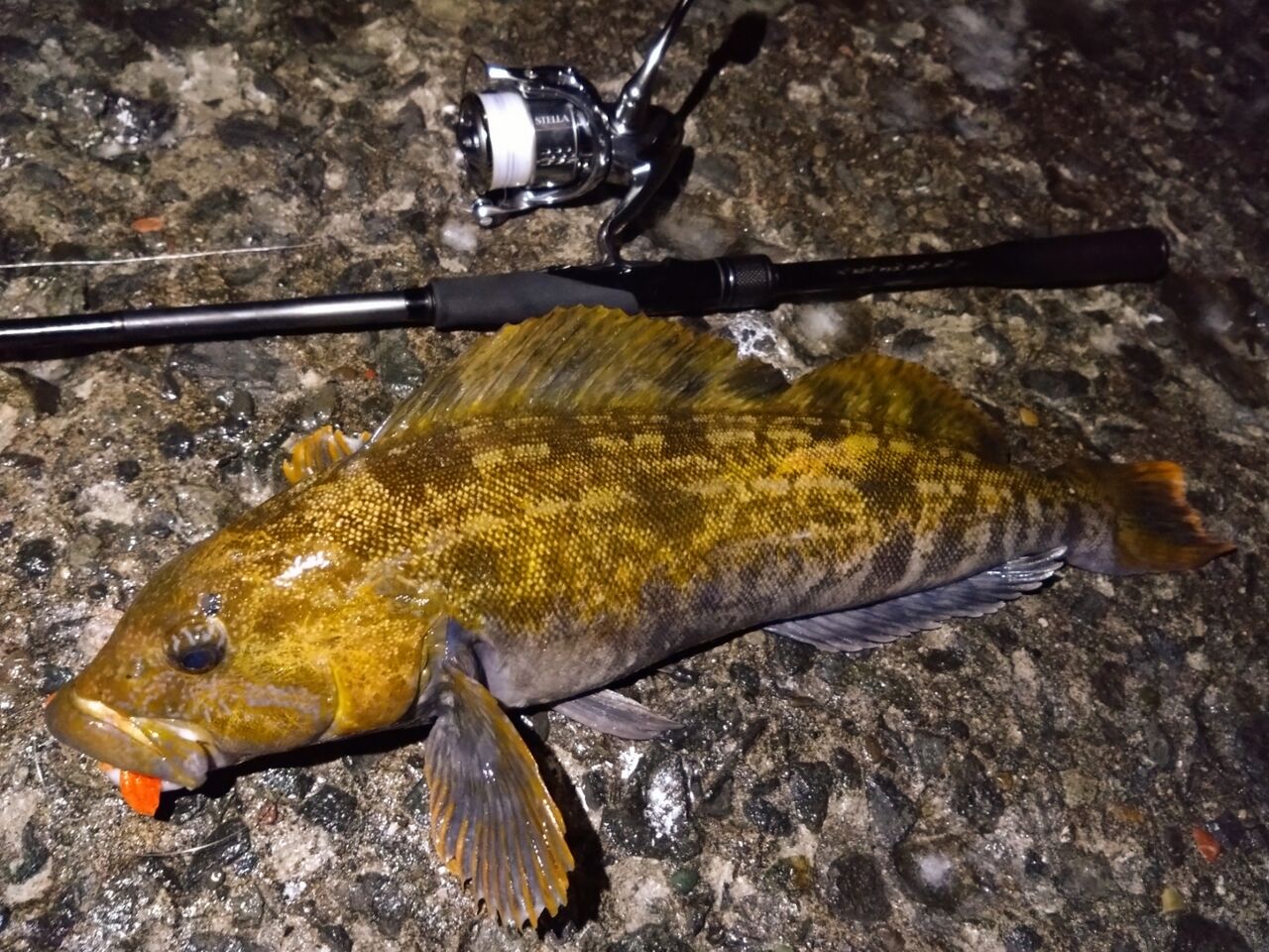 2021.3.24小樽南防波堤でカレイ釣り - 早期退職で趣味ざんまい