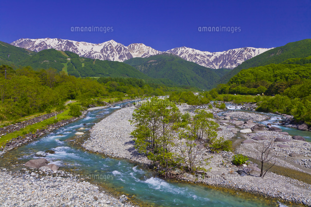 松川白馬大橋ライブカメラ 長野県白馬村北城ライブカメラDB