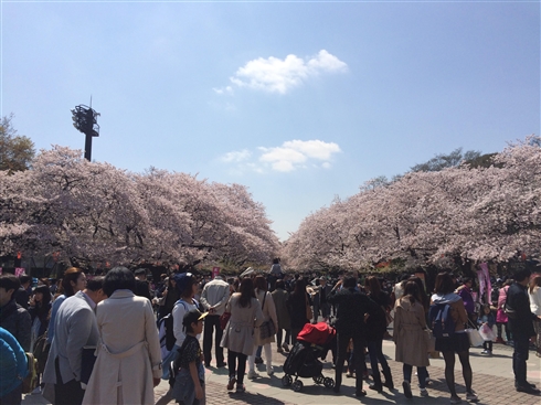 人混みに疲れたら訪れたい、自然あふれる東京の無人駅5つ - 日本の観光メディアMATCHA