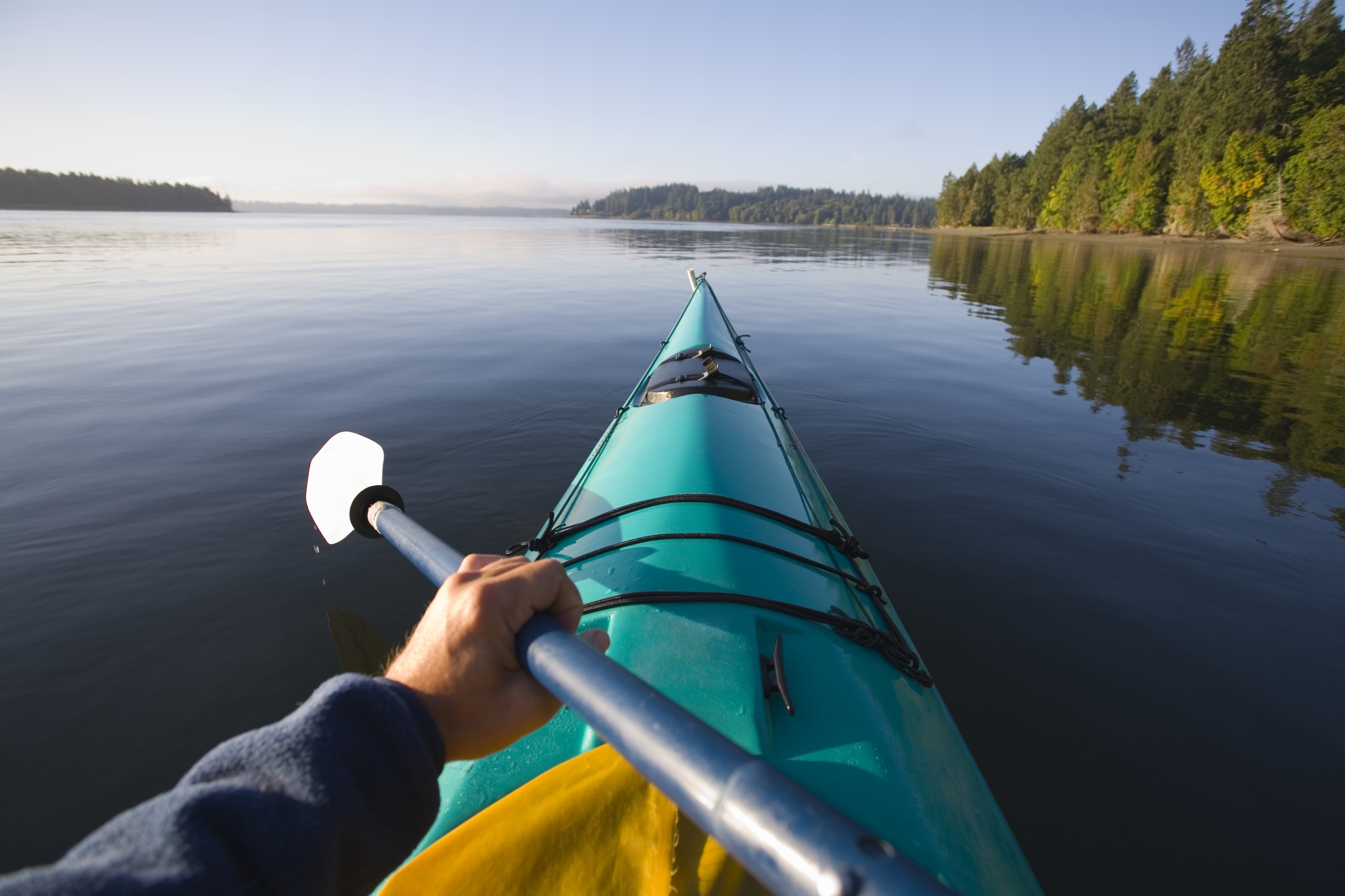 🇺🇸21歳シェルトンが🇺🇸マッケンロー以来34年ぶり快挙、左利きが米国トップに浮上🎾テニスtennisシェルトンBenSheltonatprankingsJohnMcEnroeマッケンロ
