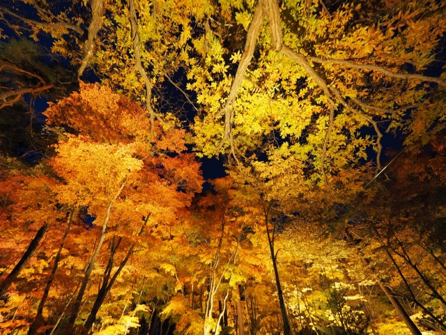 軽井沢高原教会大正時代より続く歴史ある教会軽井沢町‎星野長野県の情報 E-CURE