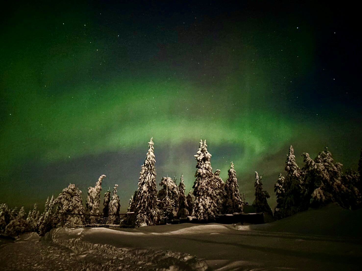 ●添乗員同行●気軽にオーロラ！フィンランド周遊7日間