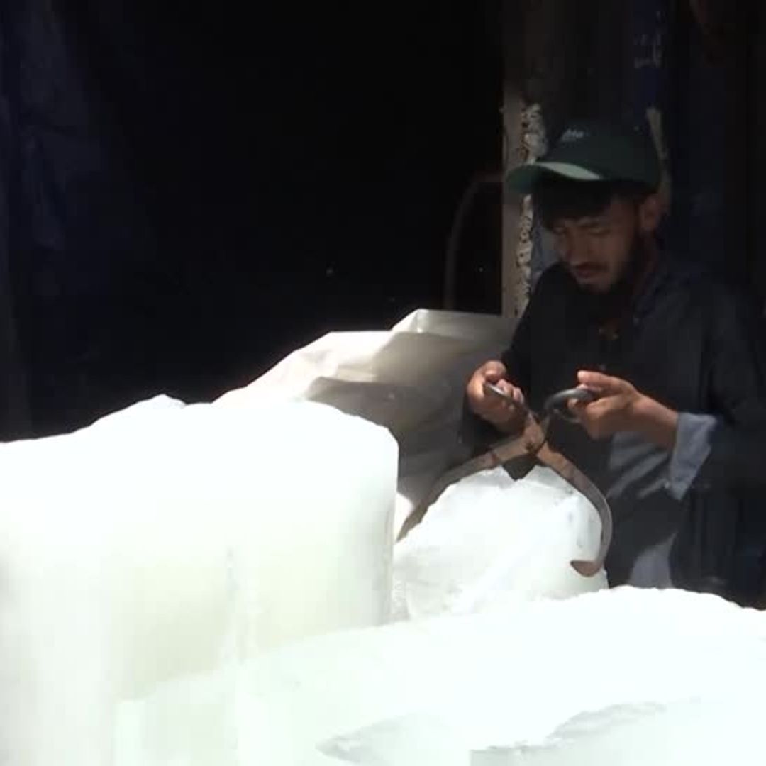 パキスタンのカラチ動物園で、氷をなめるトラ ：気温４５度超えた世界 写真特集：時事ドットコム