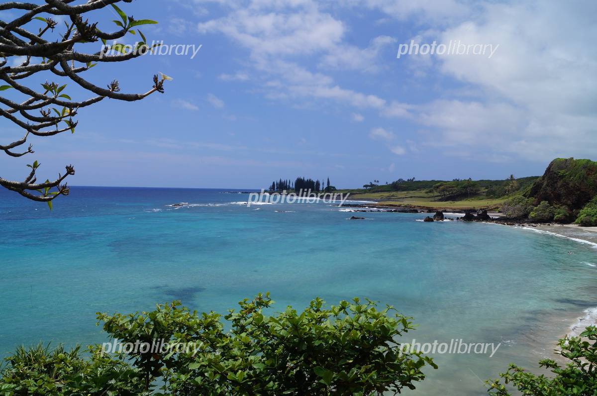 マウイ島の美しい小さな町、ハナハワイ特集2010トラベルビジョン株式会社