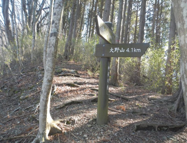 山神トンネル -神奈川県 の詳細情報ことりっぷ