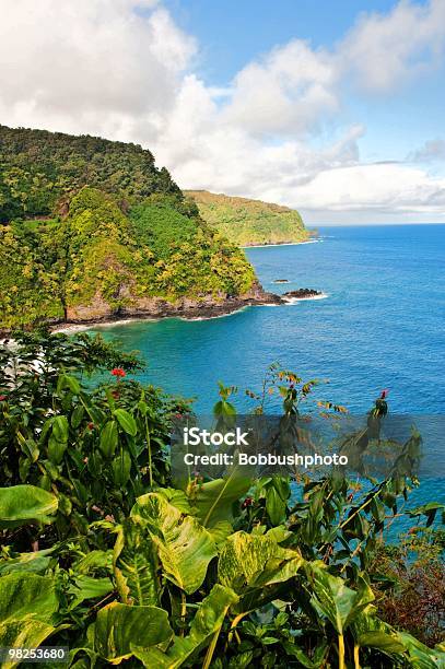 ロード トゥ ハナ アドベンチャーツアー マウイ島Klook