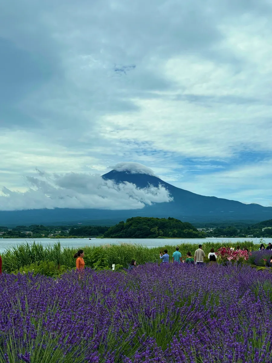 大石公園で楽しむ！河口湖ハーブフェスティバルたびらいバスツアー予約
