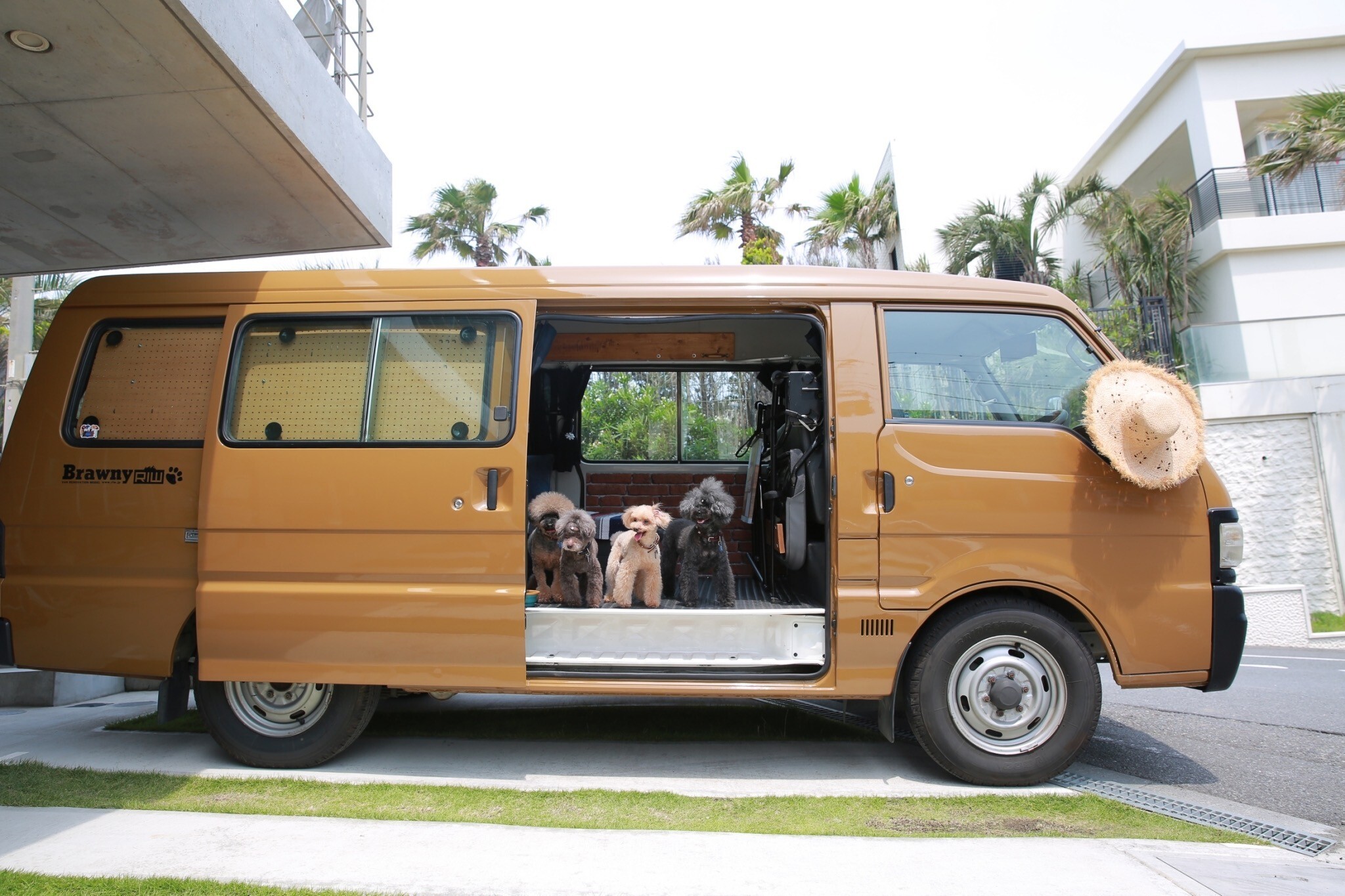 🐶 Dogs welcomeFF heater available