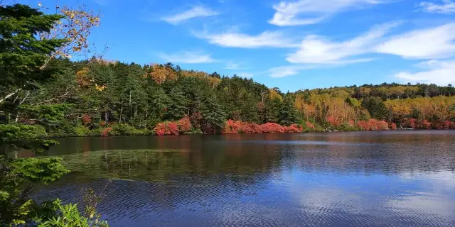 2025年 佐久市で絶対外さないおすすめ観光スポットトップ10 - トリップアドバイザ