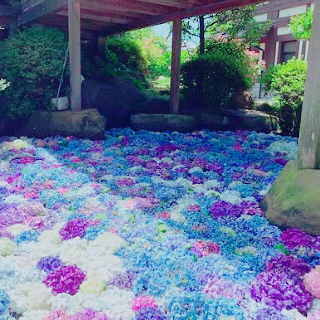 雨引山楽法寺 雨引観音桜川市観光協会公式ホームページ