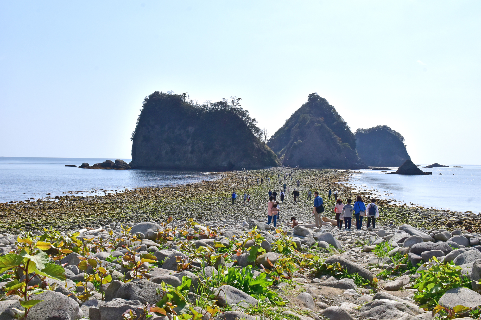 青の洞くつやトンボロも出現！西伊豆屈指の景勝地「堂ヶ島」散策伊豆熱川移住暮らし☆伊豆の魅力と移住のリアル