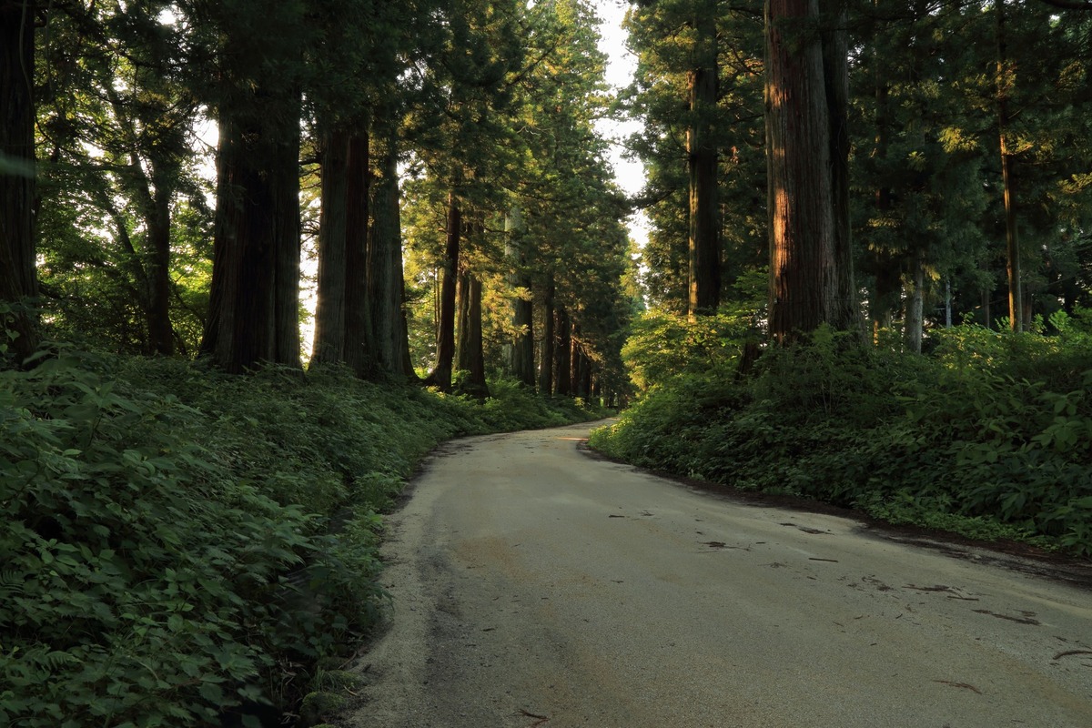 2025最新 ドライブにおすすめ！栃木の人気スポットランキングTOP30RETRIP リトリップ