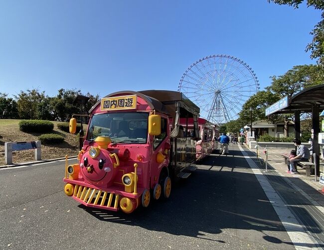 東京 江戸川区 葛西臨海公園 パークトレインの写真素材85334447- PIXTA