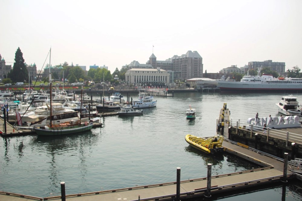 カナダ旅行記🇨🇦 バンフ編 3 珍しい生物を求めてマサムネ旅する世界遺産マイスタ