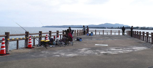 楽しみ方いろいろ氷見漁港 富山県氷見市：中日スポーツ・東京中日スポーツ
