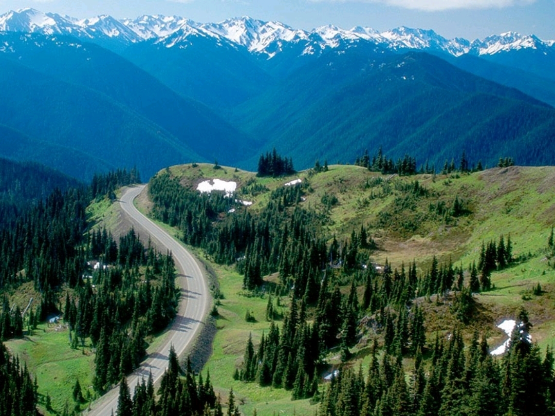 世界遺産オリンピック国立公園のおすすめスポット５選HIKING Café