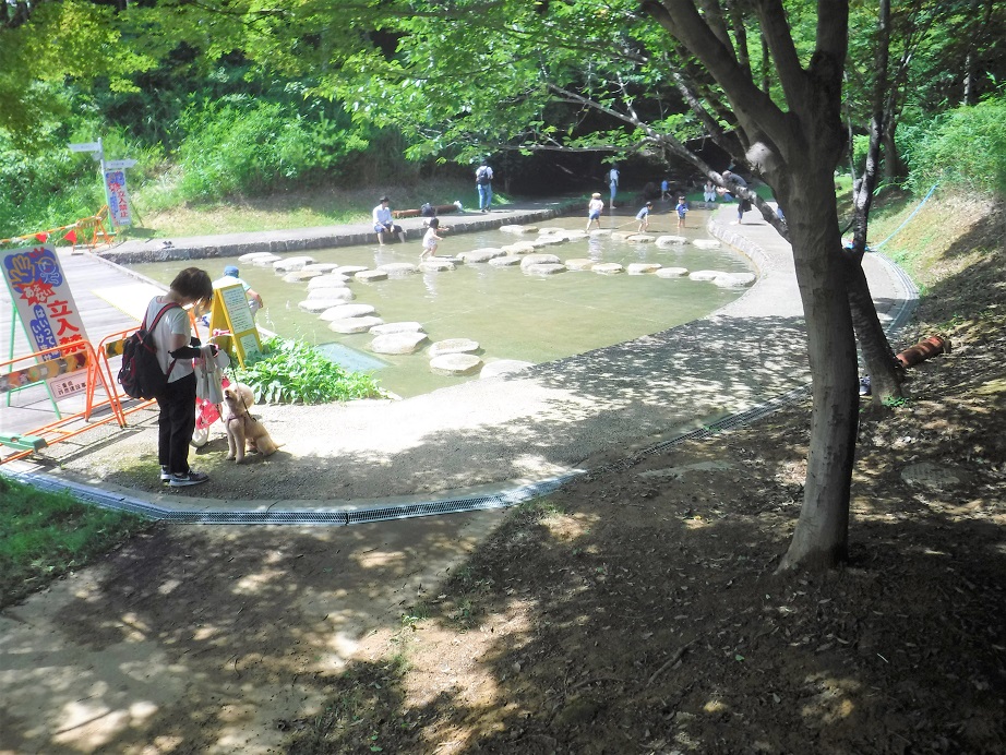 亀山ハイウェイオアシス館の人気のお土産・グルメ・周辺情報など詳しくご紹介！取材レポート観光三重 かんこうみえ