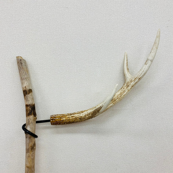 使うたびに、味が出る！ 職人の手で生み出す、蝦夷鹿の天然の角を使ったキャンプギアマクアケ - アタラシイものや体験の応援購入サービス