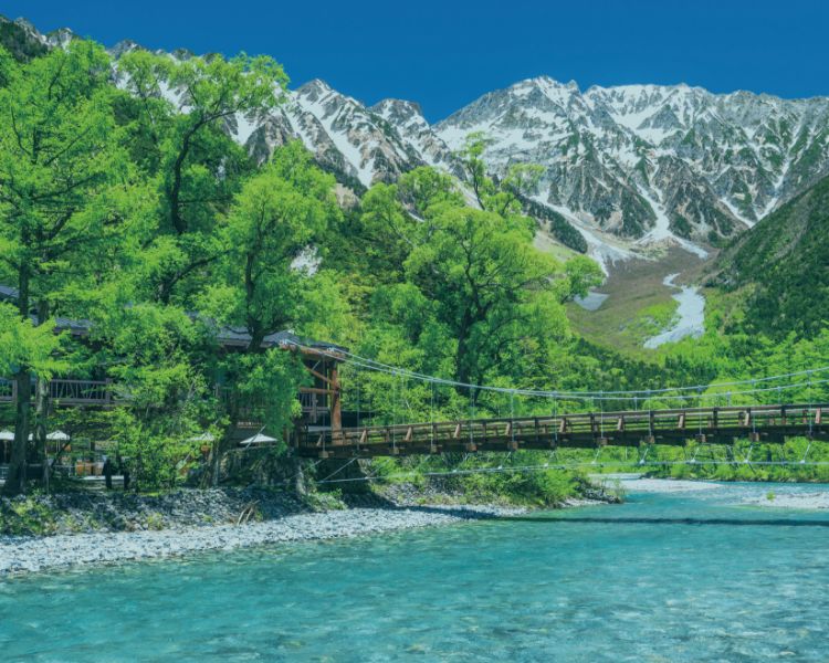 八千代市地域振興財団 - 八千代市地域振興財団