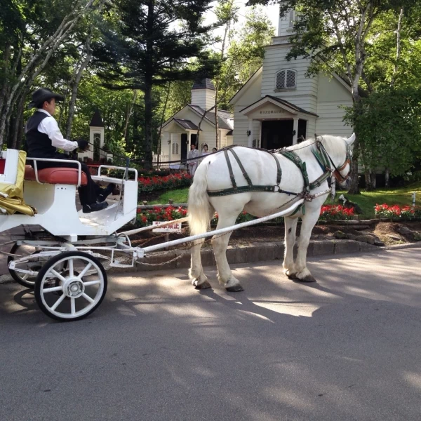旅婚に定評のある軽井沢白樺高原教会の評価 - 軽井沢の結婚式場の選び方。自分に合った結婚式場で挙式をしよう