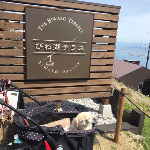 びわ湖テラスへ行ってきました - うちの犬 ～気まぐれ柴犬麦の日記～