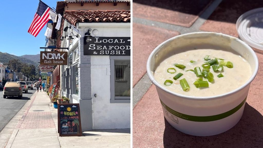 ロサンゼルス 観光 🇺🇸サンタカタリナ島 ＆ ジョシュアツリー国立公園 ぽや旅 Santa Catalina Island, JoshuaTree National Park 美国