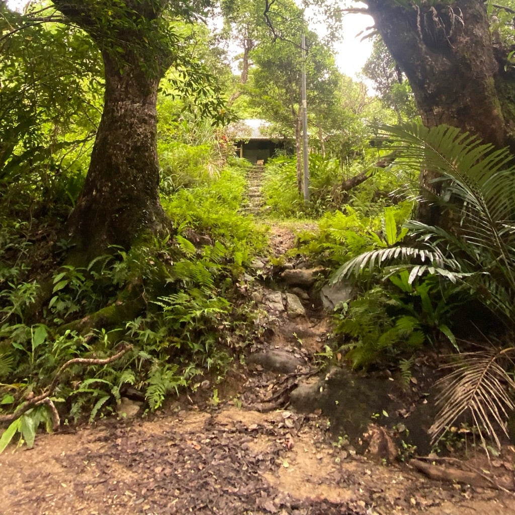 ちむどんどん」あの畑のバス停が本当にできた ロケ地探しでたどり着いた「古き良き沖縄」沖縄タイムス＋プラス