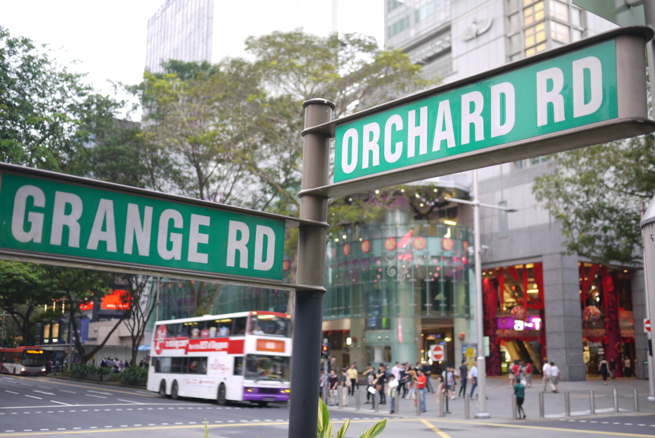 オーチャードロードでの楽しみ方2025 年のリアルなLemon8ユーザー体験