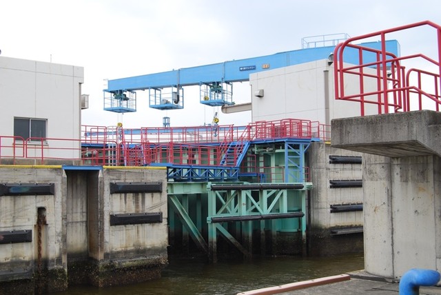 尼ロック 見学 その３