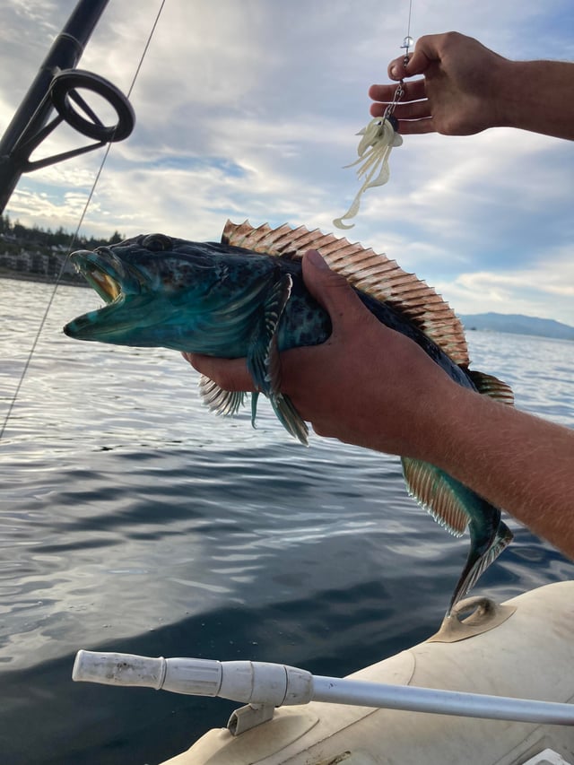 ラビダ島, ガラパゴス諸島の34アドベンチャークルーズ - LiveAboard.com