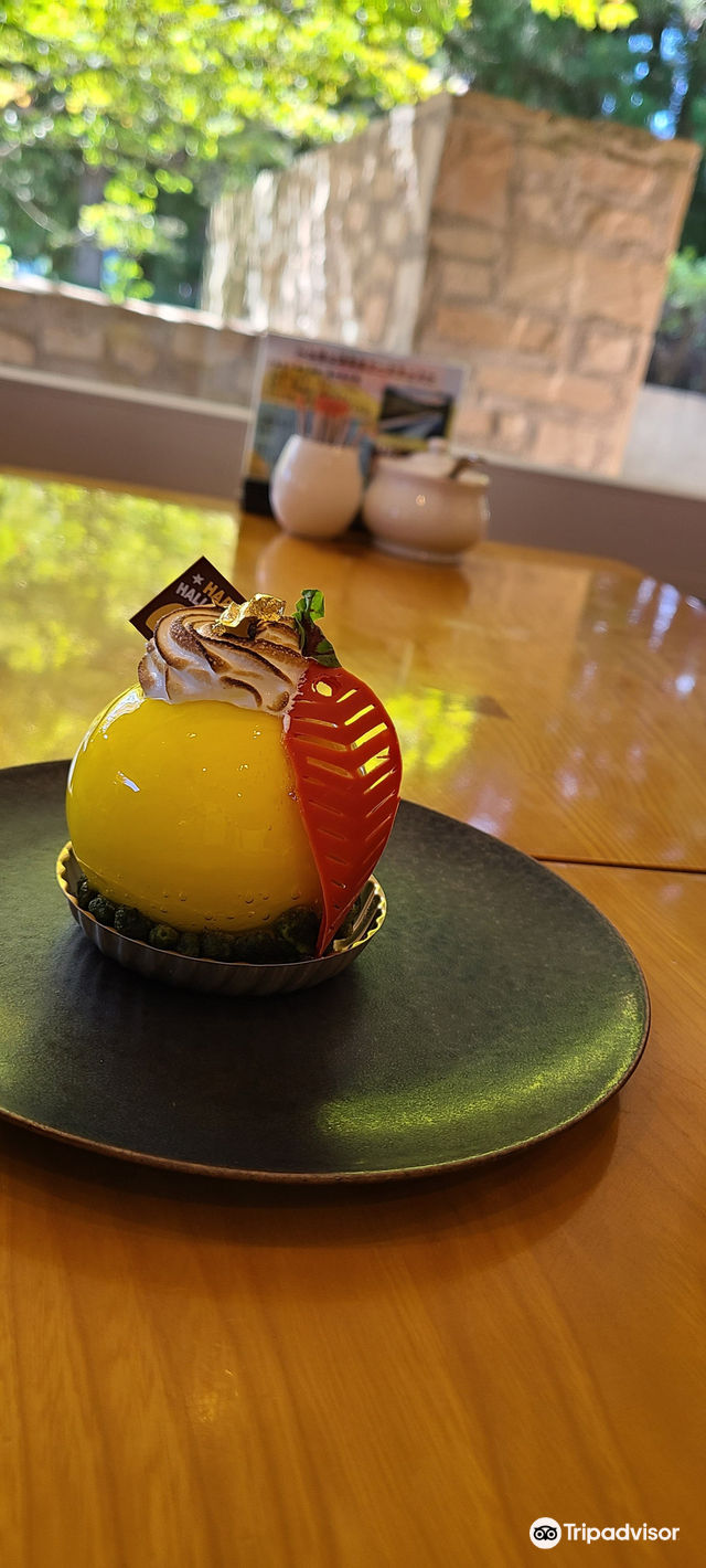 箱根湯本 あじさい橋・早川・ほたる公園Vanves の毎日 衣食住＋et cetera